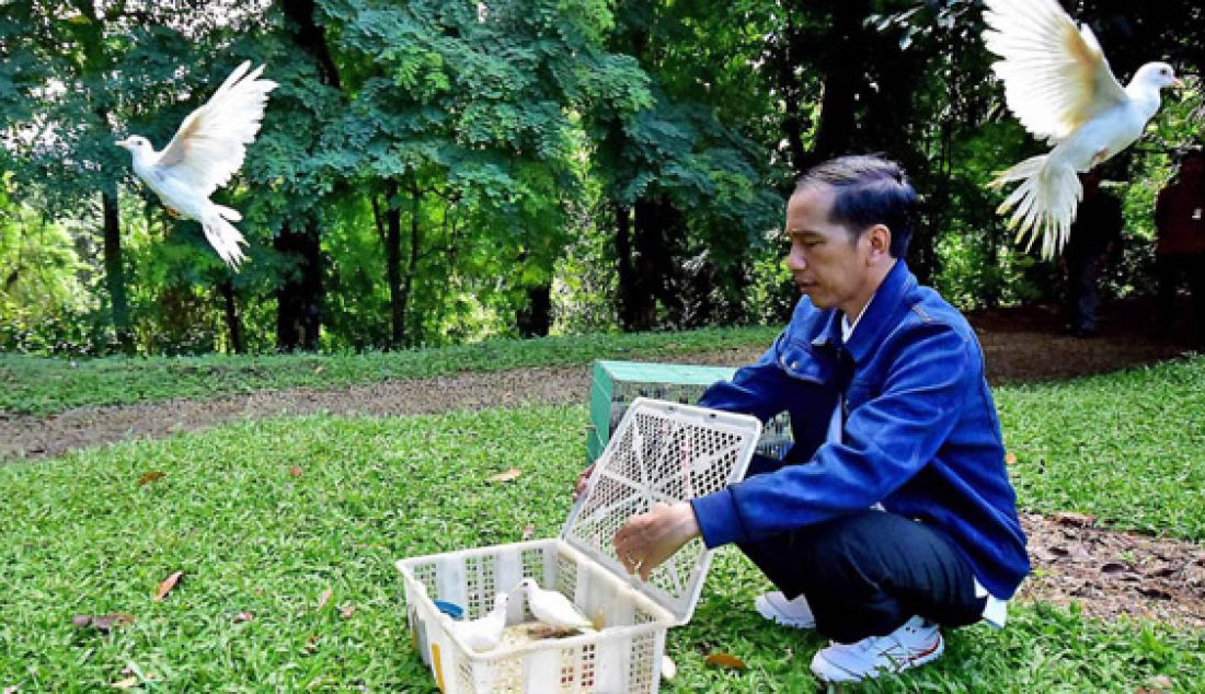 Presiden Jokowi melepas sejumlah satwa di Kebun Raya Bogor, Minggu (3/1). Satwa-satwa di antaranya 3 karung kodok, 11 buah kotak penuh aneka burung. Foto: Ist - JPNN.com