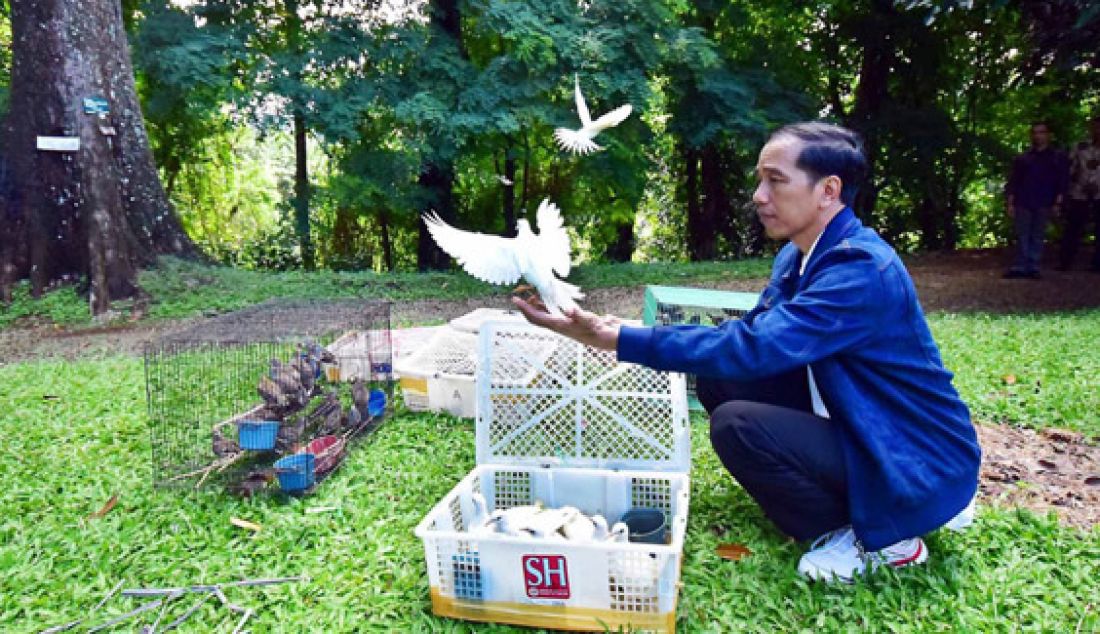 Presiden Jokowi melepas sejumlah satwa di Kebun Raya Bogor, Minggu (3/1). Satwa-satwa di antaranya 3 karung kodok, 11 buah kotak penuh aneka burung. Foto: Ist - JPNN.com