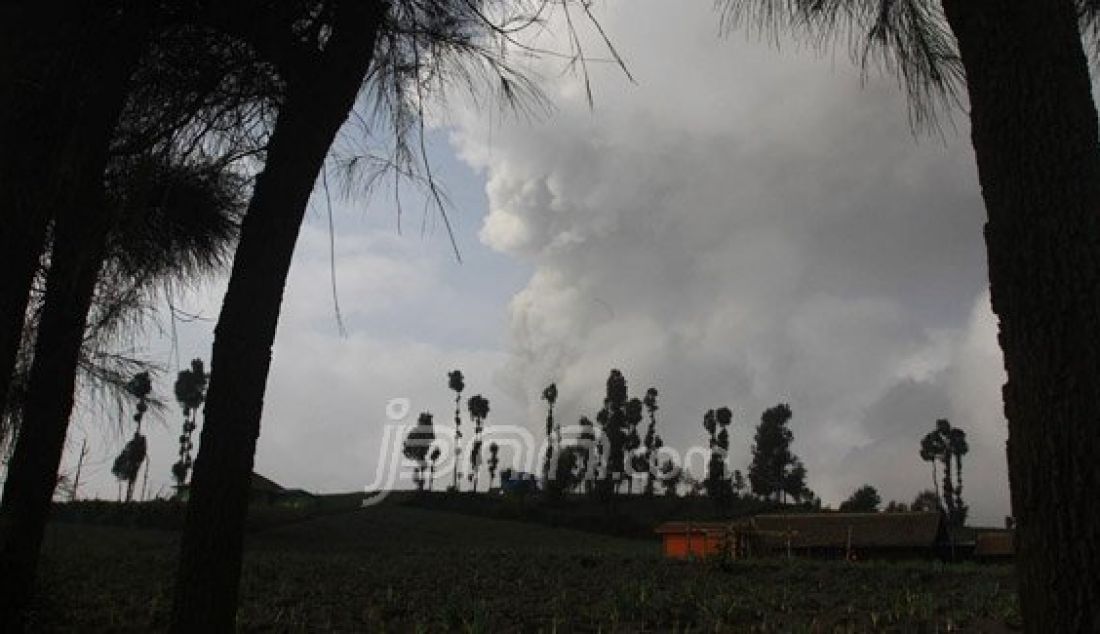 Gunung Bromo kembali menunjukkan aktivitas erupsi, Selasa (15/12). Foto: Zainal/Radar Bromo/JPNN.com - JPNN.com