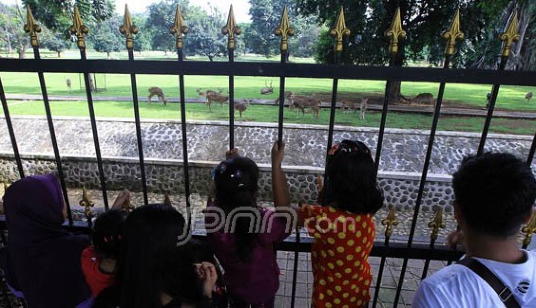 Sejumlah warga menikmati suasana di depan halaman Istana Bogor, Jawa Barat, Jumat (25/12). Sebagian warga Bogor memanfaatkan hari libur Natal untuk berekreasi bersama keluarga ke berbagai tempat wisata di kawasan Bogor. Foto: Sofyansyah/Radar Bogor/JPNN.com - JPNN.com