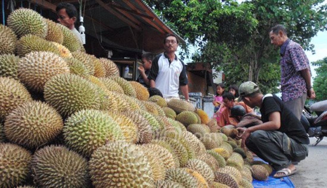 Puluhan Durian Asal Mootong yang berada di Jalan HB Yasin kian laris di borong warga Gorontalo, penjual pun bisa meraup keuntungan hingga dua kali lipat. Senin (4/1). Foto: Natha/Gorontalo Post/JPNN.com - JPNN.com