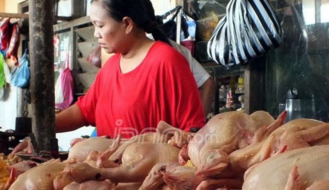 Harga daging ayam di sejumlah pasar tradisional terpantau masih cukup tinggi, kenaikan sendiri terjadi sejak menjelang perayaan Natal 2015 dan tahun baru 2016. Foto: Rizal/magelang Ekspres/JPNN.com - JPNN.com