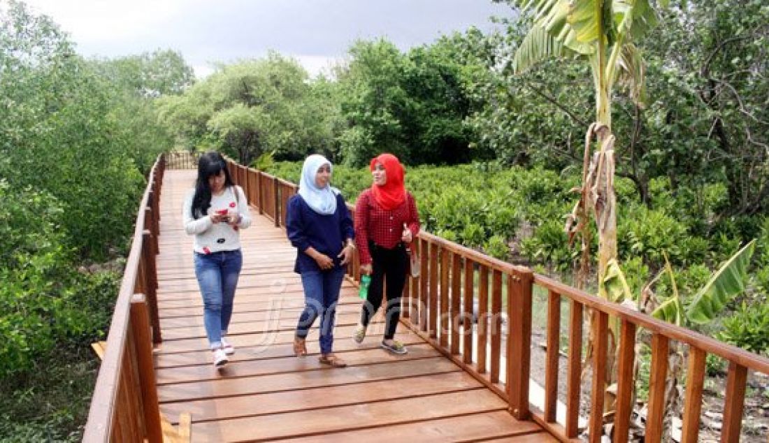 Lima tahun berdiri, Ekowisata Mangrove Wonorejo cukup banyak mendapatkan atensi. Baik dari pengunjung maupun dari pihak swasta yang turut ingin membangun ekowisata ini. Foto: Fatimatuzzahroh/Radar Surabaya/JPNN.com - JPNN.com