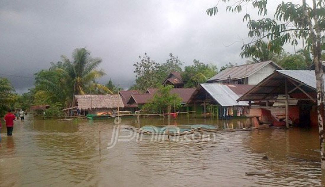 TERENDAM: Inilah kondisi Dusun Lubuk Lagak, Desa Lubuk Dagang, Kecamatan Sambas, yang terendam air gara-gara hujan deras selama tiga hari, sekitar jam 1 siang, Kamis (11/2). Foto: Ridho/Rakyat Kalbar/JPNN.com - JPNN.com