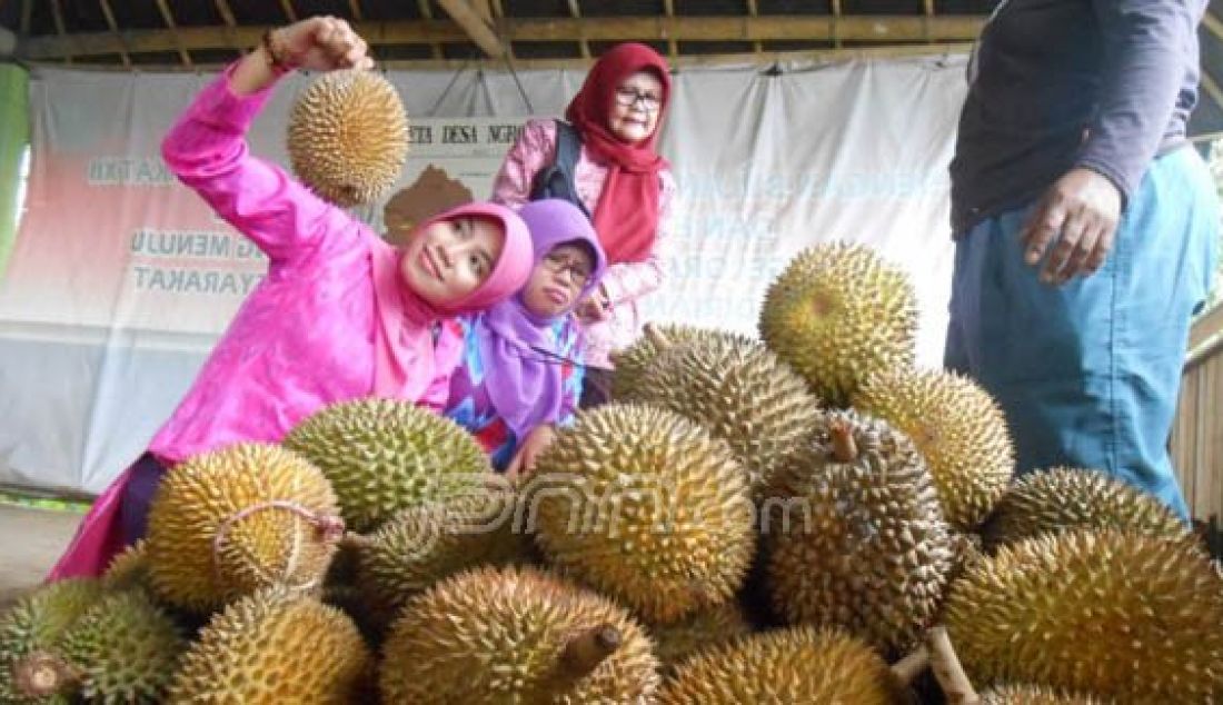 MEMILIH: Seorang pembeli sedang memilih durian asli Desa Ngropoh yang mempunyai keunggulan dibanding varietas lainnya, Magelang, Minggu (14/2). Foto: Rizal/Magelang Ekspres/JPNN.com - JPNN.com
