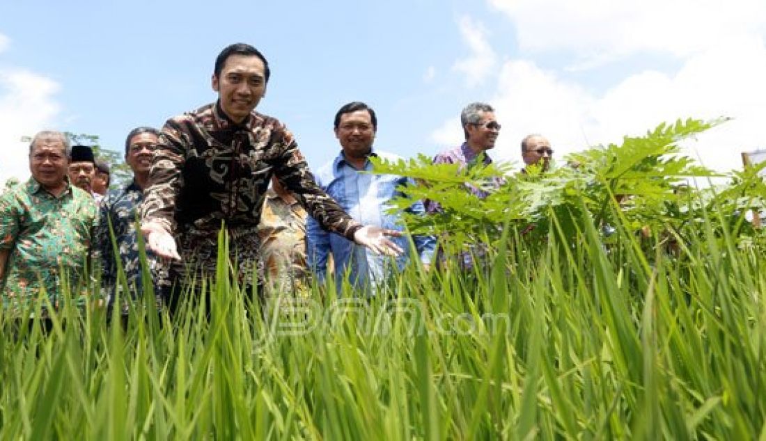 Ketua Fraksi Partai Demokrat DPR RI Edhie Baskoro Yudhoyono (kiri) dan Wakil Ketua Komisi IV Fraksi Partai Demokrat DPR RI Herman Khaeron (ketiga kanan) Saat Menghadiri Acara Peresmian Taman Teknologi Pertanian (TTP) di Desa Ngadirejan, Kecamatan Pringkuku Kabupaten Pacitan, Rabu (17/2). Ibas Mengapresiasi Pemerintah karen telah memanfaatkan Lahan Pertanian Demi Meningkatkan Kesejahtraan Para Petani. Foto : Ricardo/JPNN.com - JPNN.com