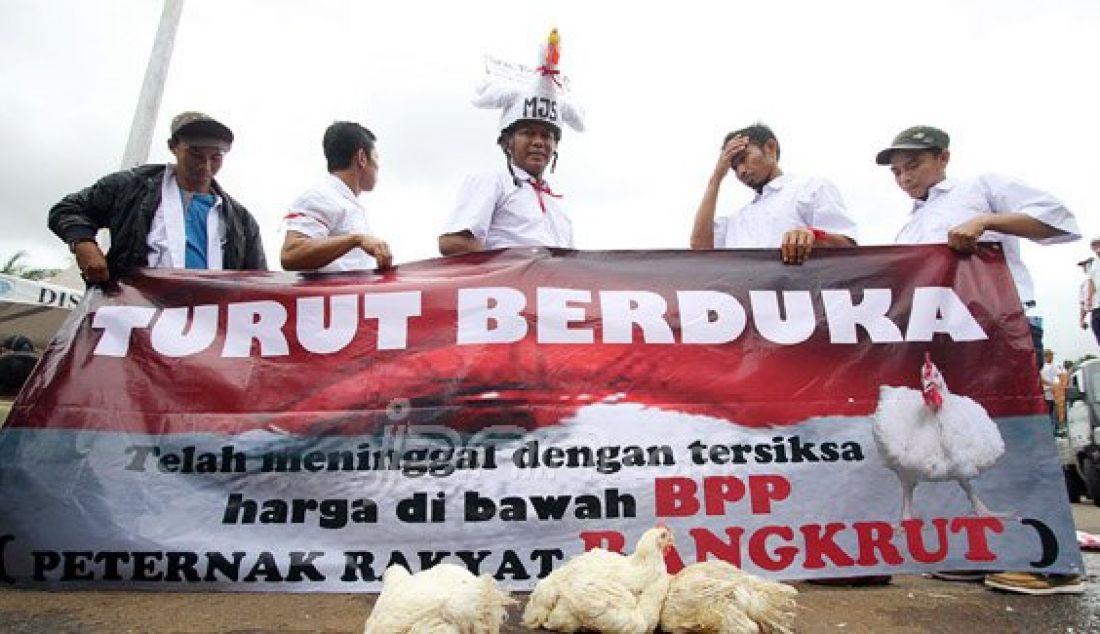 Sejumlah peternak ayam yang tergabung dalam Sekretariat Bersama Penyelamatan Peternak Rakyat dan Perunggasan Nasional bersama mahasiswa dari BEM IPB berunjukrasa di depan Istana Merdeka, Jakarta, Selasa (1/3). Dalam aksinya, mereka mendesak pemerintah menstabilkan harga ayam di pasaran yang sedang anjlok. Foto: Ricardo/JPNN.com - JPNN.com