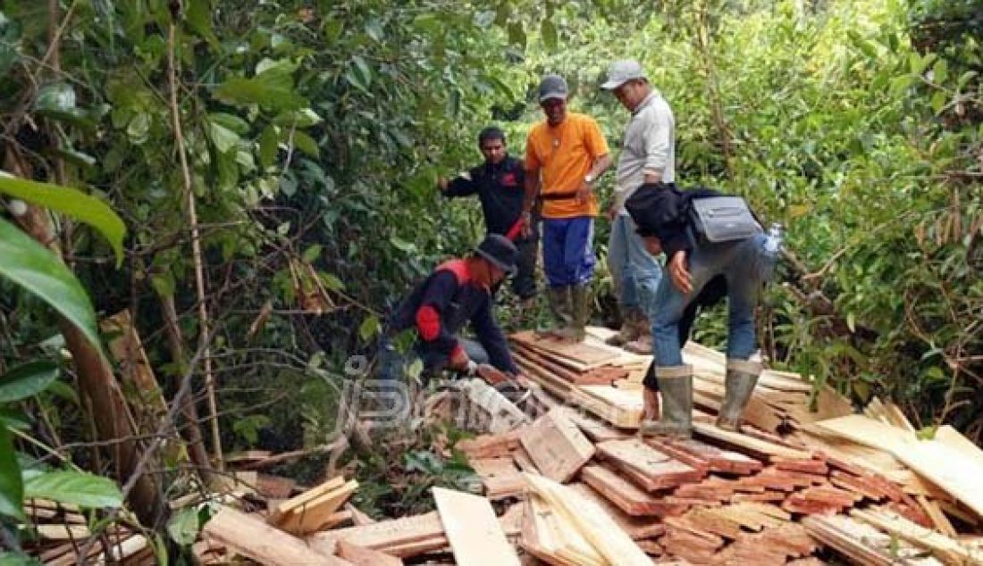 ILEGAL LOGGING: Barang bukti kayu hasil tangkapan di Hutan Lindung Gambut yang dimusnakan dengan cara dipotong oleh petugas Polisi Hutan. Foto: Gatot S/Jambi Ekspres/JPNN.com - JPNN.com