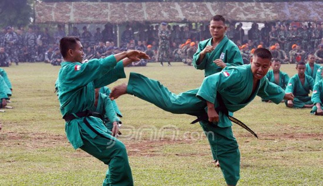 Pasukan TNI saat melakukan pertunjukan aksi bela diri pada acara apel gabungan TNI, Polda Metro Jaya, Pemprov DKI Jakarta, Ormas dan Mahasiswa di lapangan Brigif Para Raider 17 Cijantung, Jakarta Timur, Selasa (17/5). Foto: Ricardo/JPNN.com - JPNN.com