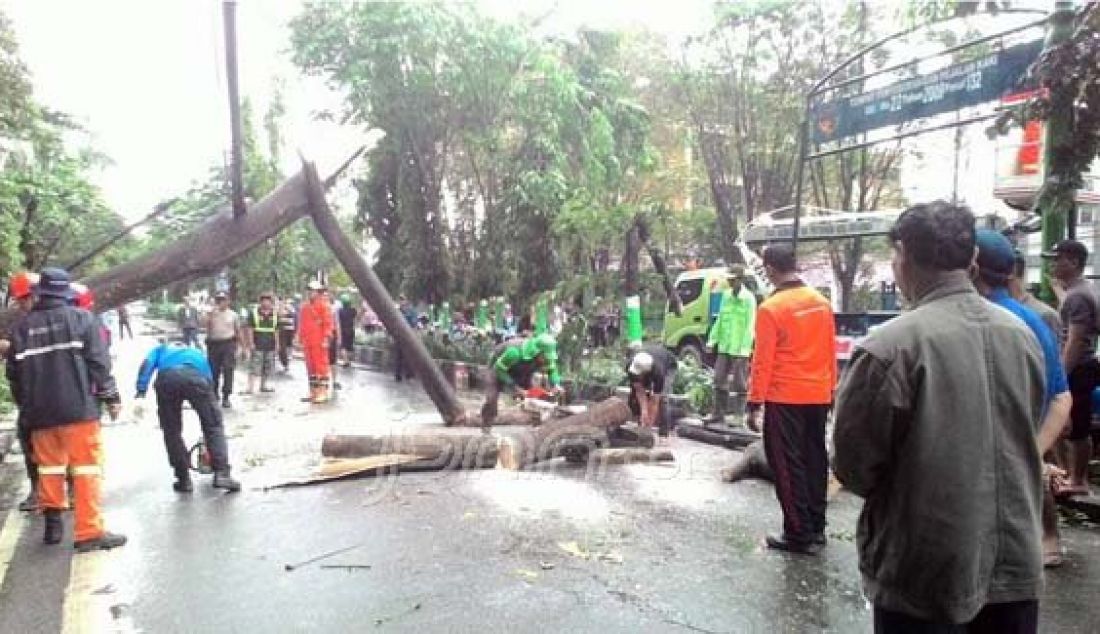 Cuaca extrem kembali melanda Kota samarinda. Hujan deras disertai angin kencang serta petir yang menggelegar membuat pohon-pohon bertumbangan, Rabu (15/6). Foto: Joko/Samarinda Pos - JPNN.com