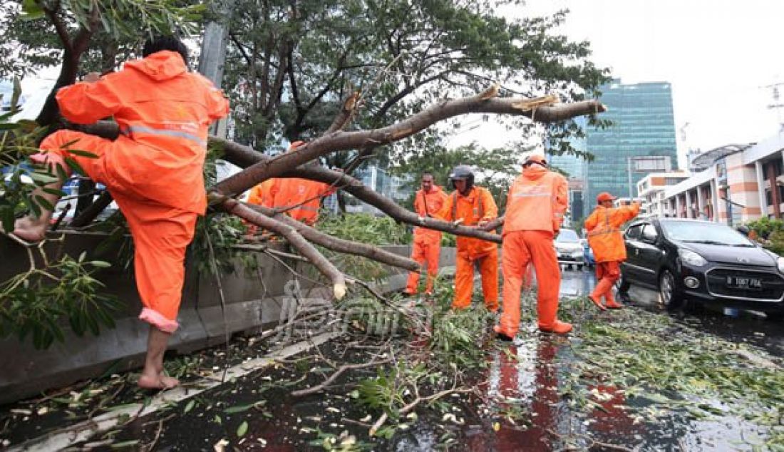 Sejumlah anggota Pekerja Prasarana dan Sarana Umum (PPSU) menyingkirkan pohon tumbang di kawasan Rasuna Said, Kuningan, Jakarta, Selasa (30/8). Tumbangnya pohon disebabkan oleh hujan deras disertakan angin kencang yang mengguyur jakarta. Foto: Imam/Jawa Pos - JPNN.com