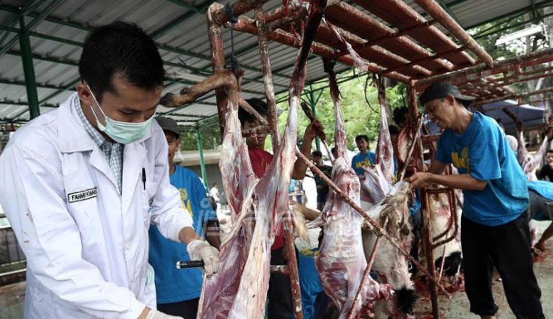 Petugas memeriksa kelayakan daging kurban yang akan dibagikan di Masjid Cut Meutia, Senin (12/9). Foto: Ricardo/JPNN.com - JPNN.com