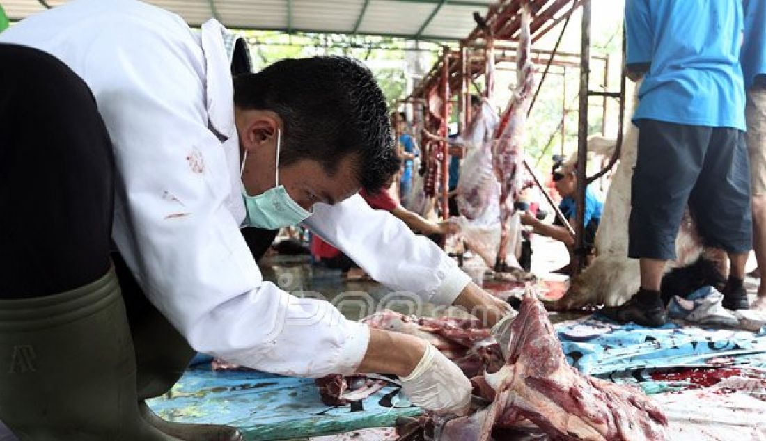 Petugas memeriksa kelayakan daging kurban yang akan dibagikan di Masjid Cut Meutia, Senin (12/9). Foto: Ricardo/JPNN.com - JPNN.com