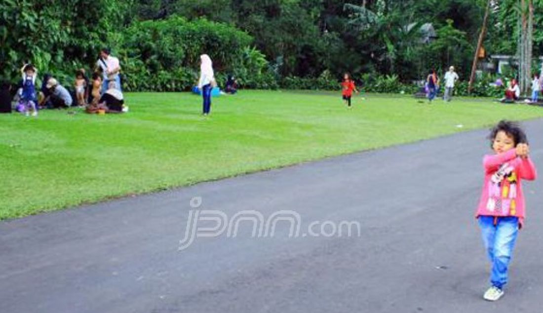 Akibat angin kencang, ribuan lebah (tawon) mengamuk dan menyerang para pengunjung Kebun Raya Bogor (KRB) . Sebanyak 16 pengunjung yang terkena sengatan lebah langsung dilarikan ke RS PMI karena luka dibagian tubuh. Foto : Fadli/Metropolitan/JPNN.com - JPNN.com