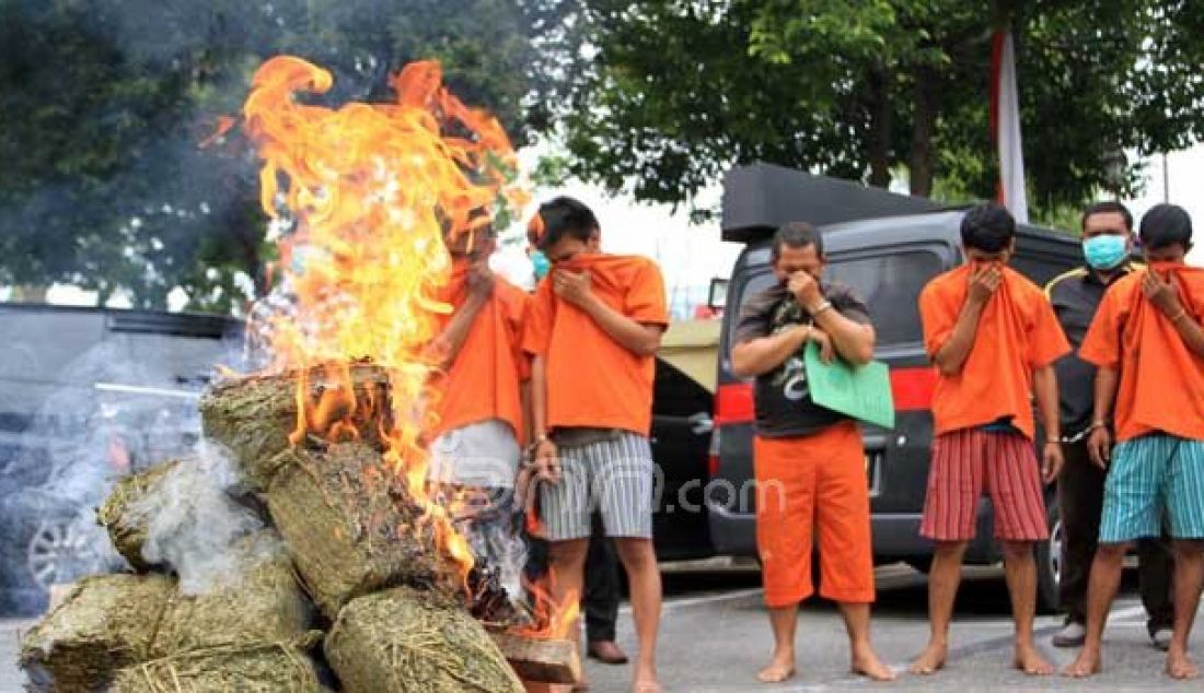 PEMUSNAHAN: sebanyak 33 kg daun ganja kering dimusnahkan dengan cara dibakar di hadapan lima orang TSK, yang juga dihadirkan di Halaman Mapolresta Pekanbaru, Kamis (27/10). Foto: Arief/Riau Pos - JPNN.com