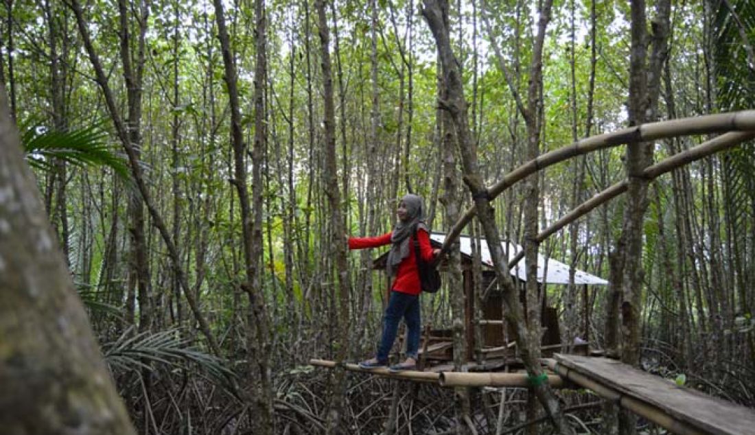 Kisruh pengelolaan Hutan Mangrove Ayah, disesalkan sejumlah kalangan. Objek wisata baru tersebut sudah mulai diminati wisatawan. Tak hanya wisatawan lokal, namun juga macanegara yang berkunjung ke lokasi konservasi hutan bakau di Desa/Kecamatan Ayah. Untuk mengakhiri konflik, rencananya pengelolaan akan ditangani Dinas Pemuda Olahraga dan Pariwisata. - JPNN.com