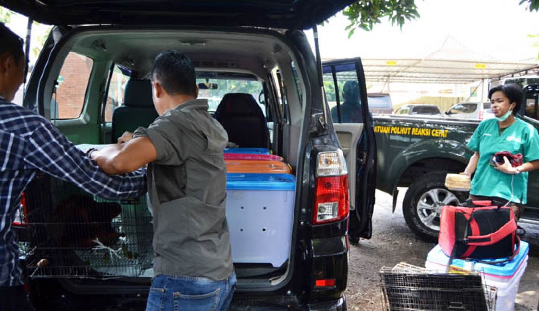 HEWAN DILINDUNGI: Pihak kepolisian Kabupaten Cirebon dibantu kelompok aktivis pecinta hewan, Ditjen Gakum Kementrian Lingkungan Hidup dan Kehutanan RI mengamankan hewan-hewan yang akan dijual via medsos oleh Ali Jaziah warga Desa Pegagan Lor, Kabupaten Cirebon, Jumat (20/1). - JPNN.com