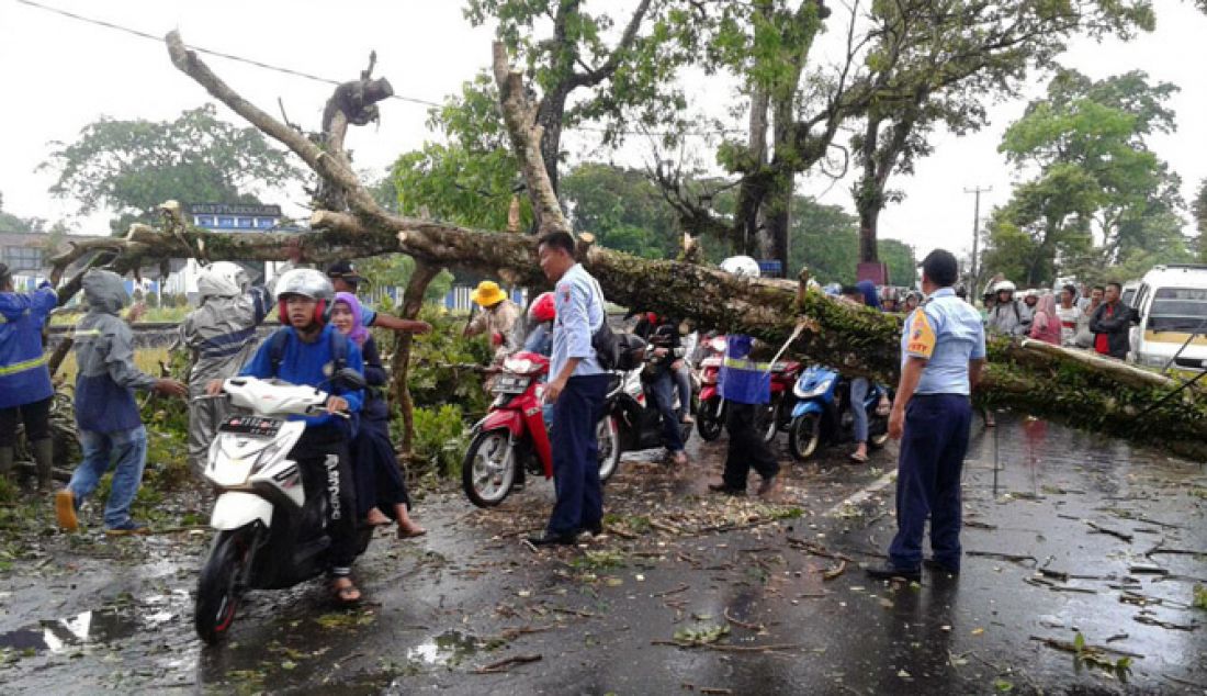 POHON TUMBANG. Pohon di Jalan Basir Surya Cibeureum Kota Tasikmalaya tumbang, Selasa (31/1) saat Kota Tasik diguyur hujan lebat. - JPNN.com