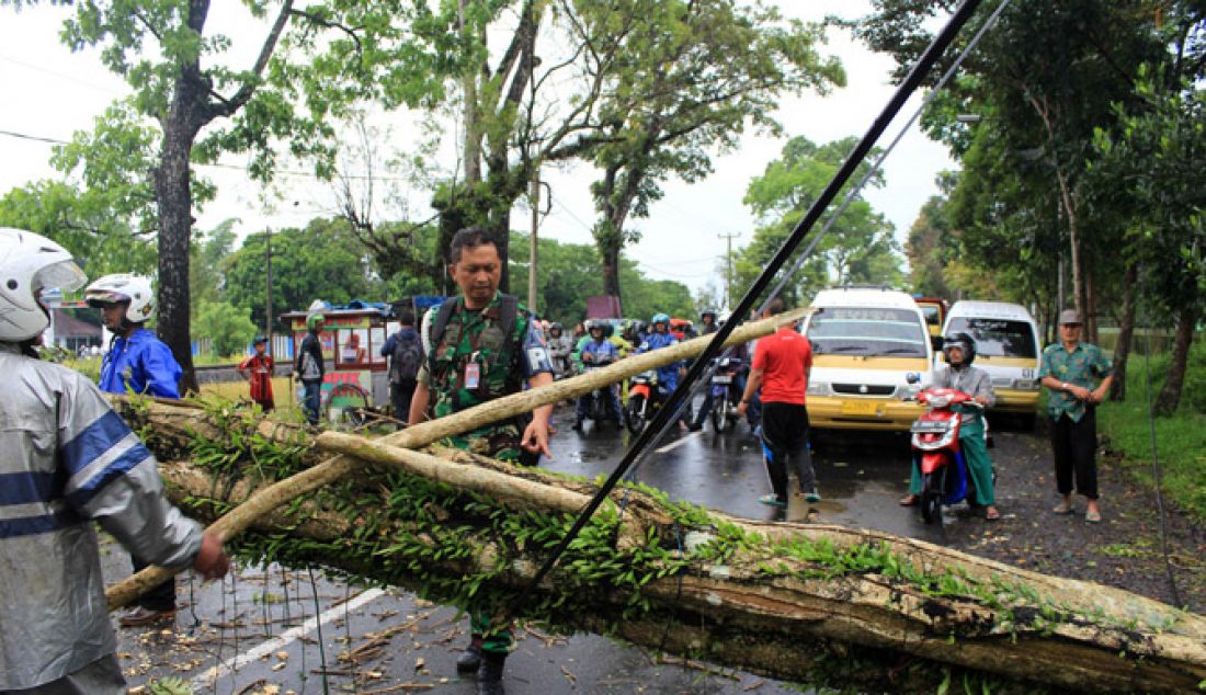 POHON TUMBANG. Pohon di Jalan Basir Surya Cibeureum Kota Tasikmalaya tumbang, Selasa (31/1) saat Kota Tasik diguyur hujan lebat. - JPNN.com