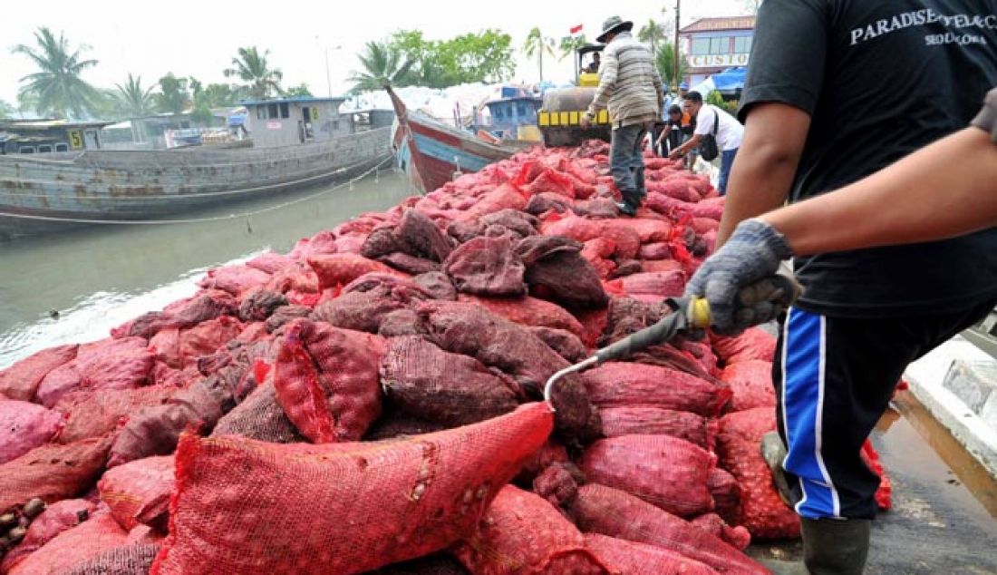 PEMUSNAHAN BAWANG MERAH: Beberapa orang petugas menyusun bawang merah ilegal di Dermaga BC Belawan Medan, Rabu (8/2) Sebanyak 72,2 ton bawang merah ilegal asal india akan di musnahkan. - JPNN.com