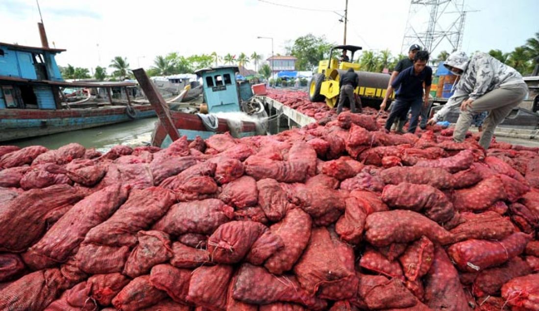 PEMUSNAHAN BAWANG MERAH: Beberapa orang petugas menyusun bawang merah ilegal di Dermaga BC Belawan Medan, Rabu (8/2) Sebanyak 72,2 ton bawang merah ilegal asal india akan di musnahkan. - JPNN.com