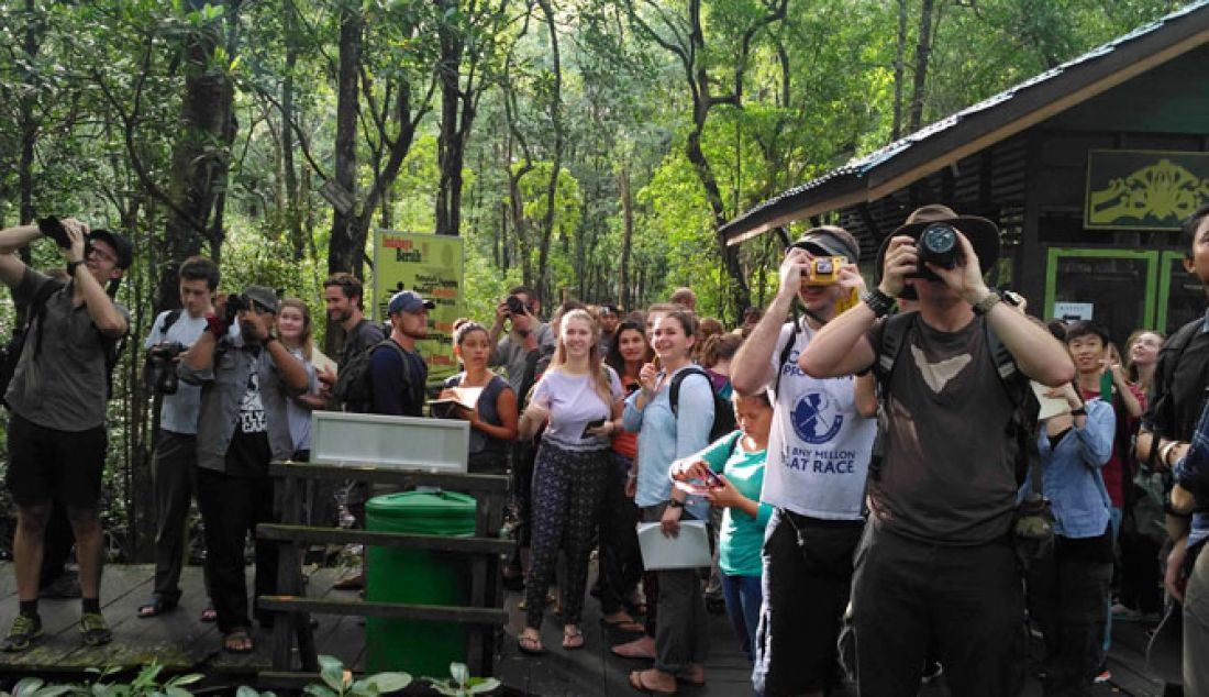 Kawasan mangrove, Pantai Amal, dan Agro Wisata Karungan menjadi potensi wisata yang akan terus dikembangkan. Pemerintah kota Tarakan sendiri mengharapkan agar masyarakat ikut berkontribusi dalam mengembangkan tempat wisata di Tarakan, khususnya kawasan mangrove tarakan yang rame dikunjungi, Rabu (15/2). - JPNN.com