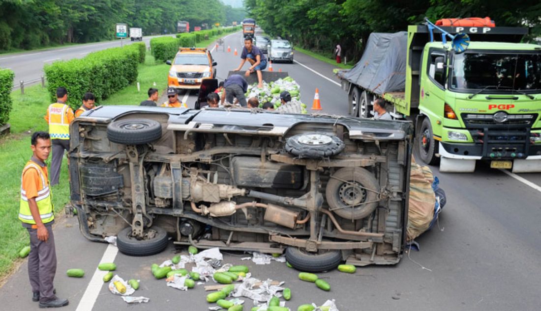 TERBALIK: Sebuah mobil Pickup nopol BE 9634 GO muatan pepaya terguling di KM 90 Tol Tangerang-Merak, Purwakarta, Cilegon, Jumat (17/27). Beruntung tidak ada korban jiwa pada musibah ini. Menurut petugas, mobil pickup muatan pepaya dari Lampung yang akan dibawa ke Tanah Tinggi Tangerang ini mengalami pecah ban. - JPNN.com