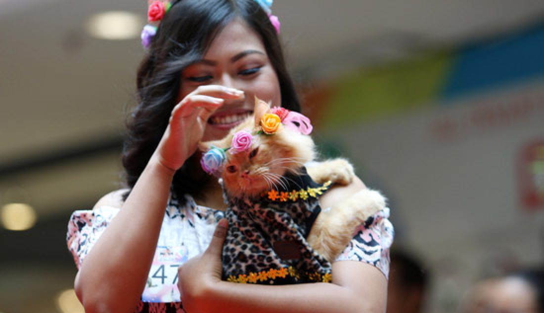 MENGGEMASKAN: Sebanyak 90 kucing beradu kecantikan dalam Colorful Cat Party di Atrium Plaza Balikpapan, Minggu (5/3). Tak hanya itu, beberapa kucing pun turut ikut dalam cat fashion show. Dengan kostum yang unik dan menarik, kucing-kucing tersebut menarik perhatian pengunjung. - JPNN.com