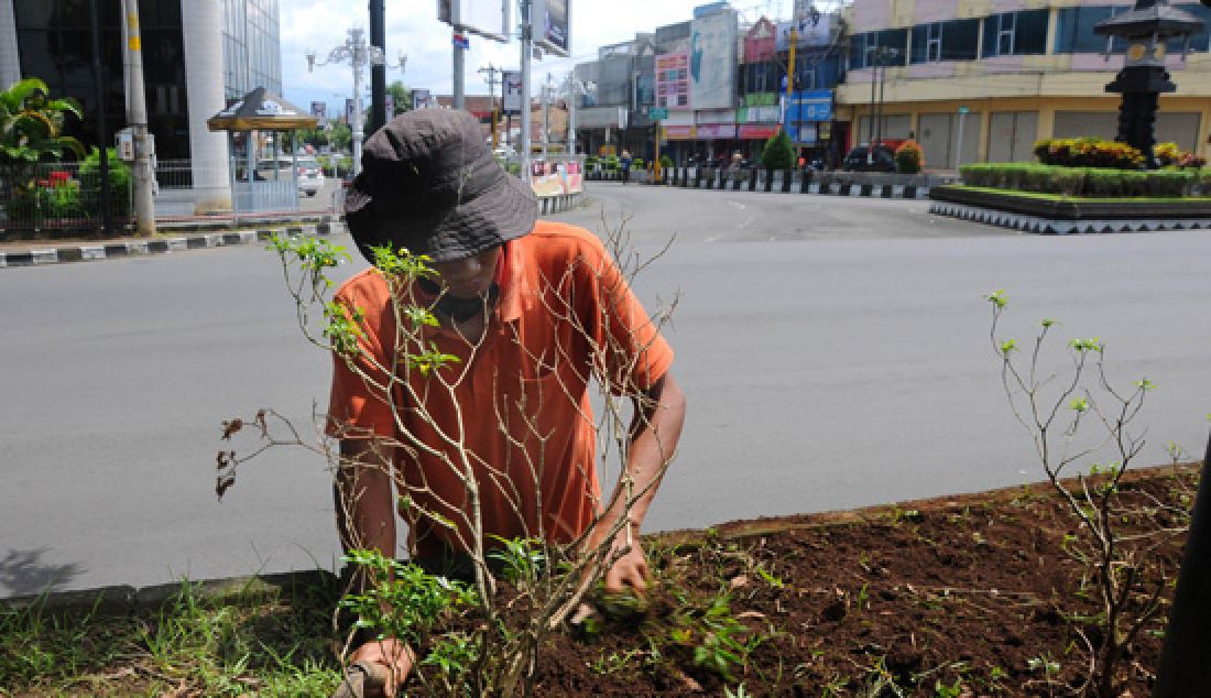 Sejumlah pekerja dari Dinas Lingkungan Hidup mulai merapikan tanaman di jalan Jendral Sudirman, Purwokerto (9/3). DLH berkomitmen Adipura di tahun 2017 ini tetap dipertahankan. - JPNN.com