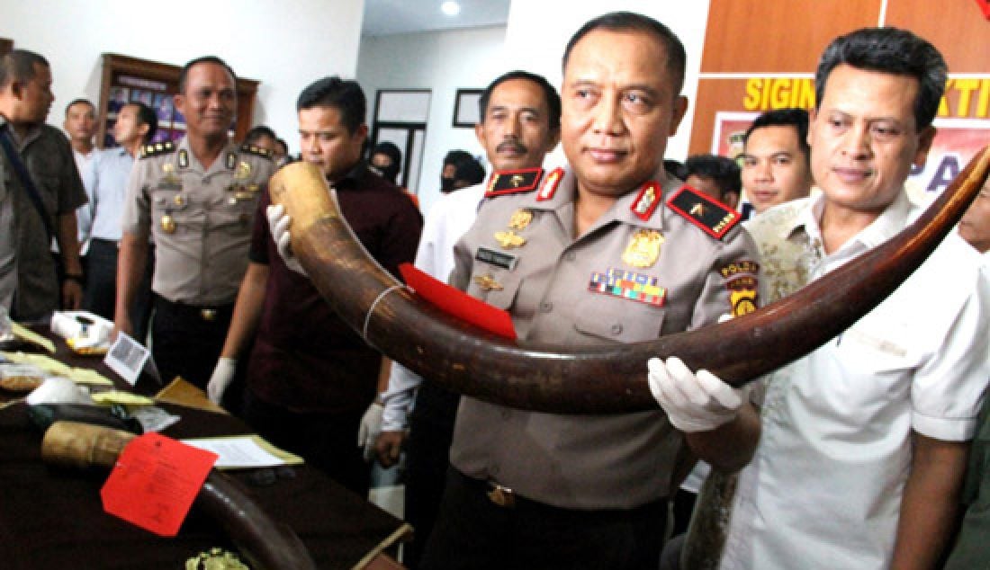 GADING GAJAH: Kapolda Jambi, Brigjen Pol Yazid Fanani saat pres release di Mapolda Jambi, Rabu (19/4) . Anggota Subdit IV Ditreskrimsus Polda Jambi, menangkap tiga pelaku sindikat penjual gading gajah, di antranya Arvin Hendarno (32) dan Saini (55), warga Sumatera Selatan dan Mustafa Kamal (61) asal Jambi. - JPNN.com