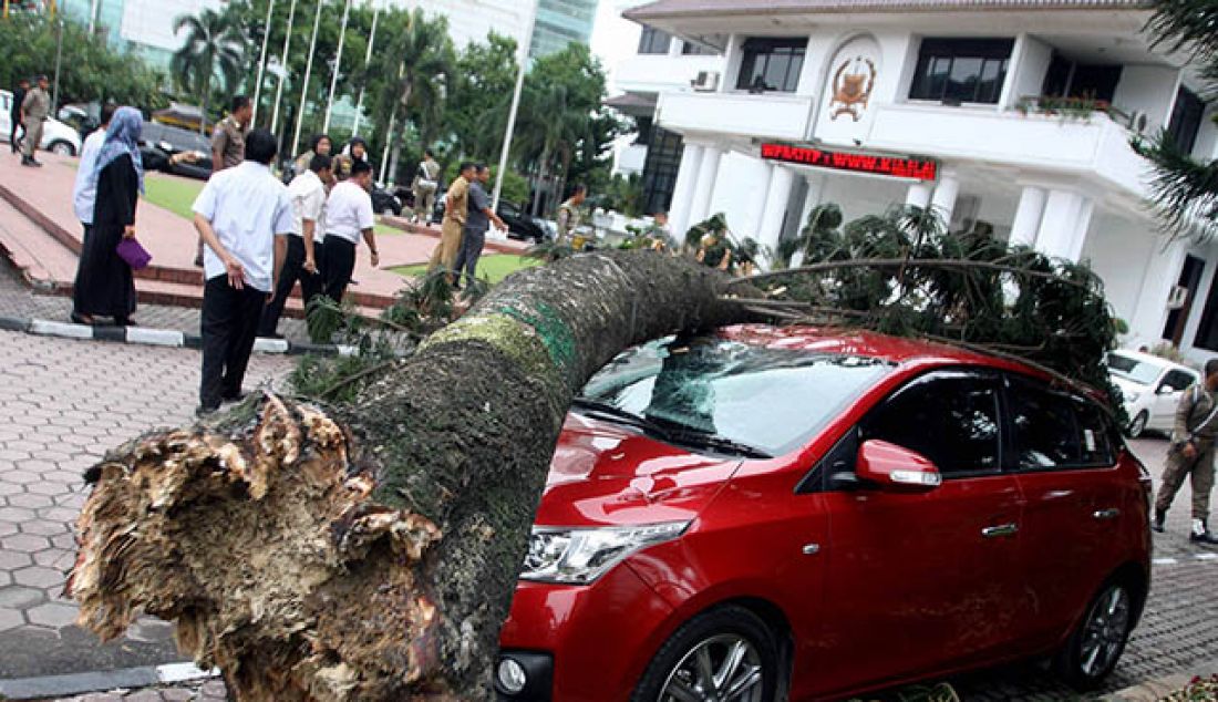 TUMBANG: Sejumlah pegawai negeri sipil (PNS) melihat pohon tumbang yang menimpa mobil di halaman kantor Walikota Medan, Selasa (30/5). Pohon yang tiba-tiba tumbang itu mengakibatkan dua mobil tertimpa, tidak ada korban jiwa dalam peristiwa tersebut. - JPNN.com