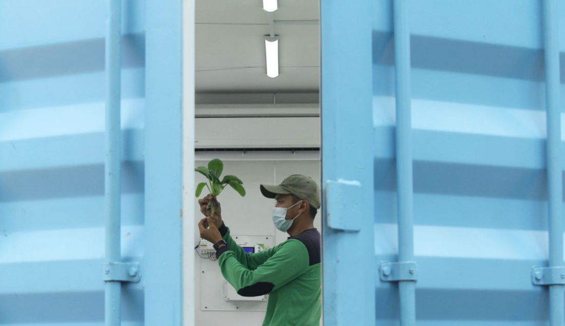 Petugas kebun menyiram tanaman di Container Farming dan Agro Electrifying, di Agro Edukasi Wisata Ragunan, Jakarta, Rabu (13/10). - JPNN.com