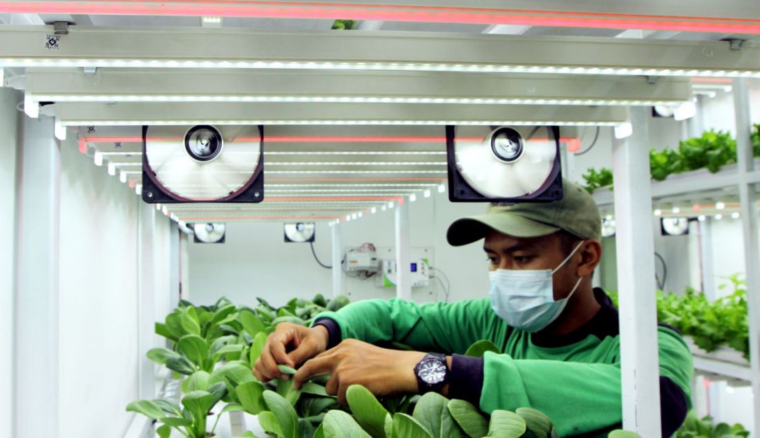 Petugas kebun menyiram tanaman di Container Farming dan Agro Electrifying, di Agro Edukasi Wisata Ragunan, Jakarta, Rabu (13/10). - JPNN.com