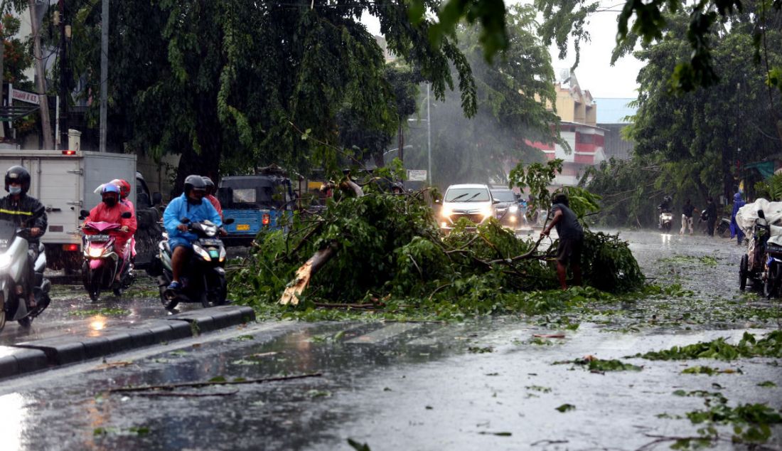 Warga berusaha mengevakuasi pohon tumbang akibat hujan dan angin di kawasan Jalan Raya Kebayoran Lama, Jakarta, Sabtu (11/12). - JPNN.com