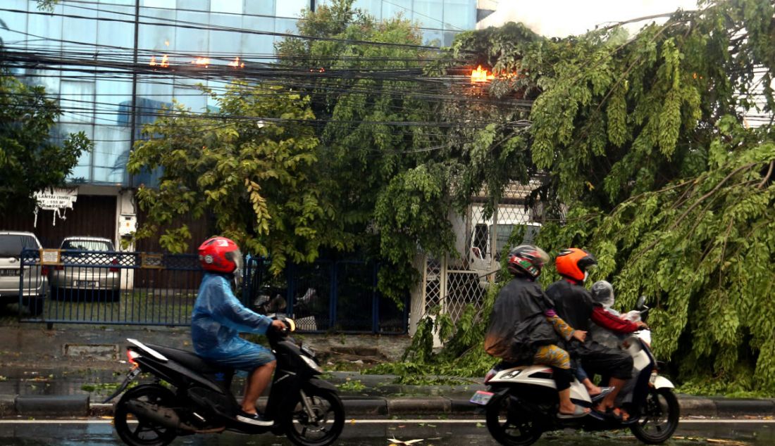 Warga melintas di depan kabel listrik terbakar akibat pohon tumbang di kawasan Jalan Raya Kebayoran Lama, Jakarta, Sabtu (11/12). - JPNN.com