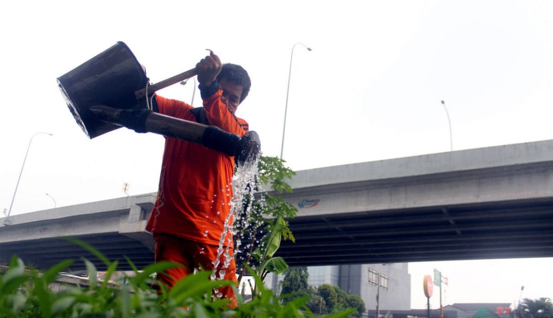 Petugas PPSU menanam sayur di lahan kosong kawasan Banjir Kanal Timur (BKT) Jakarta Timur, Kamis (31/3). Lahan tersebut sebelumnya dijadikan tempat pembuangan sampah liar oleh warga, sekarang di manfaatkan untuk menanam sayuran oleh anggota PPSU untuk penghijauan. - JPNN.com