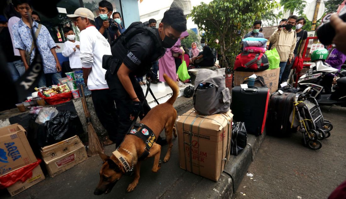 Petugas BNN bersama anjing pelacak K9 memeriksa barang pemudik di Terminal Kampung Rambutan, Jakarta, Rabu (27/4). - JPNN.com