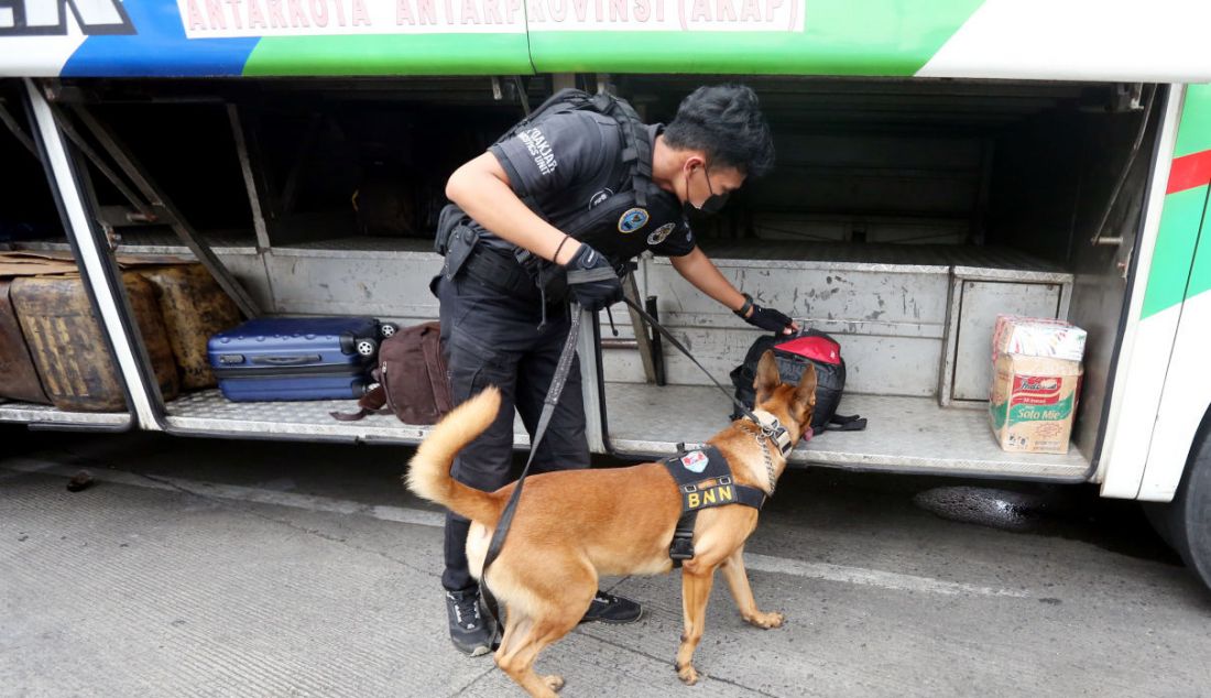 Petugas BNN bersama anjing pelacak K9 memeriksa barang pemudik di Terminal Kampung Rambutan, Jakarta, Rabu (27/4). Pemeriksaan tersebut guna mengantisipasi peredaran narkoba di tengah arus mudik menyambut perayaan Idulfitri 1443 H. - JPNN.com