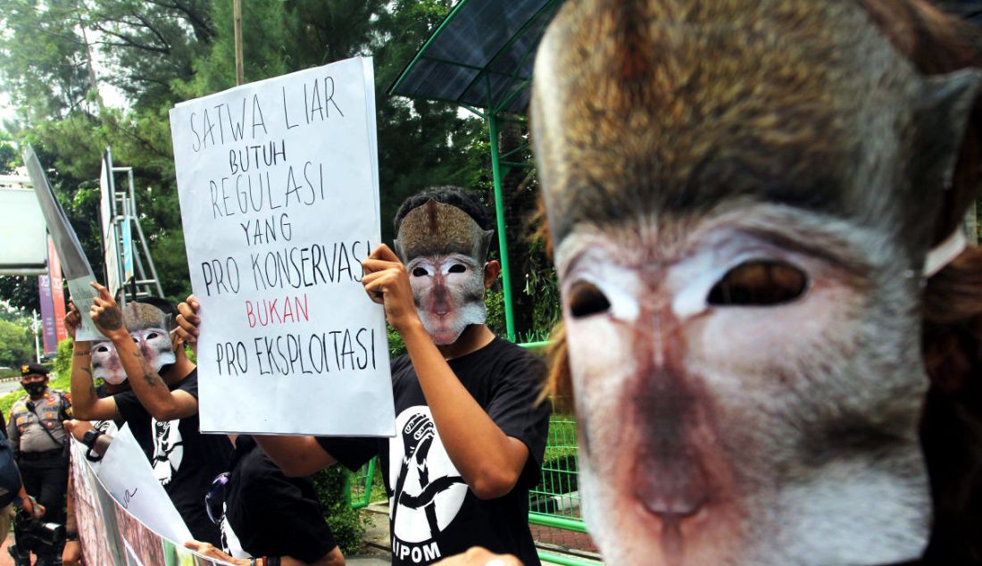 Pengunjuk rasa yang tergabung dalam Koalisi Monyet Ekor Panjang menggelar aksi damai di depan Kantor Kementerian Lingkungan Hidup dan Kehutanan, Jakarta, Senin (23/5). - JPNN.com