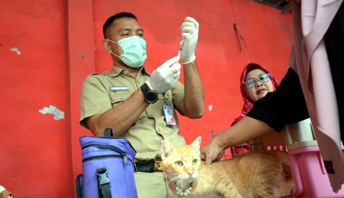 Plh. Kasatpel Ketahanan Pangan Kelautan dan Pertanian Kecamatan Tebet Ikhsan melakukan vaksinasi rabies gratis hewan peliharaan di Balai warga RW 10, Perintis, Kebon Baru, Jakarta Selatan, Senin (14/5). Hewan-hewan yang menjadi sasaran vaksinasi antara lain anjing, kucing, kera, dan musang. - JPNN.com