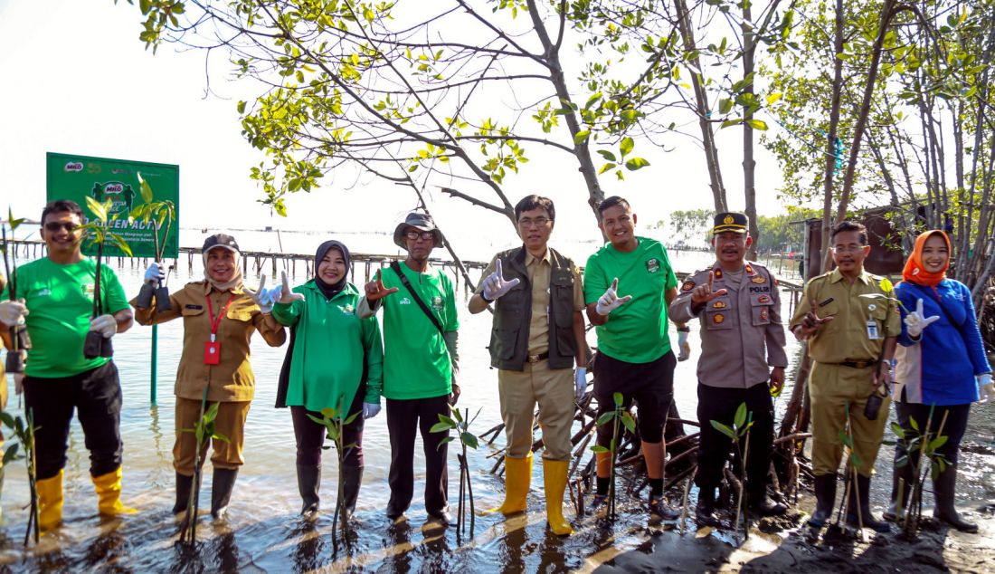 Sekretaris Dinas Lingkungan Hidup Kota Semarang Hartana Subekti, Kepala Cabang Dinas Kehutanan Wilayah 3 Semarang Pujiharini, Direktur Corporate Affairs & Sustainability PT Nestlé Indonesia Sufintri Rahayu, Kepala Dinas Lingkungan Hidup dan Kehutanan Provinsi Jawa Tengah Widi Hartanto dan Sports Marketing Manager Nestle MILO Yozart Zulmi melakukan penanaman mangrove lewat Gerakan Pilih Hijau di Pantai Mangunharjo, Kota Semarang, Jawa Tengah. - JPNN.com