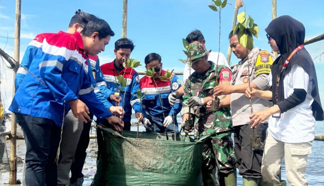 PT Elnusa Petrofin (EPN), anak perusahaan PT Elnusa Tbk (ELSA) meluncurkan program Hutan Petrofin pada tahun 2025 sebagai kontribusi nyata dalam mendukung target Net Zero Emission 2060 melalui konservasi hutan yang berkelanjutan. Program Hutan Petrofin mencakup berbagai inisiatif, termasuk penanaman pohon di ruang terbuka hijau, rehabilitasi lahan kritis, dan edukasi lingkungan kepada masyarakat sekitar. - JPNN.com