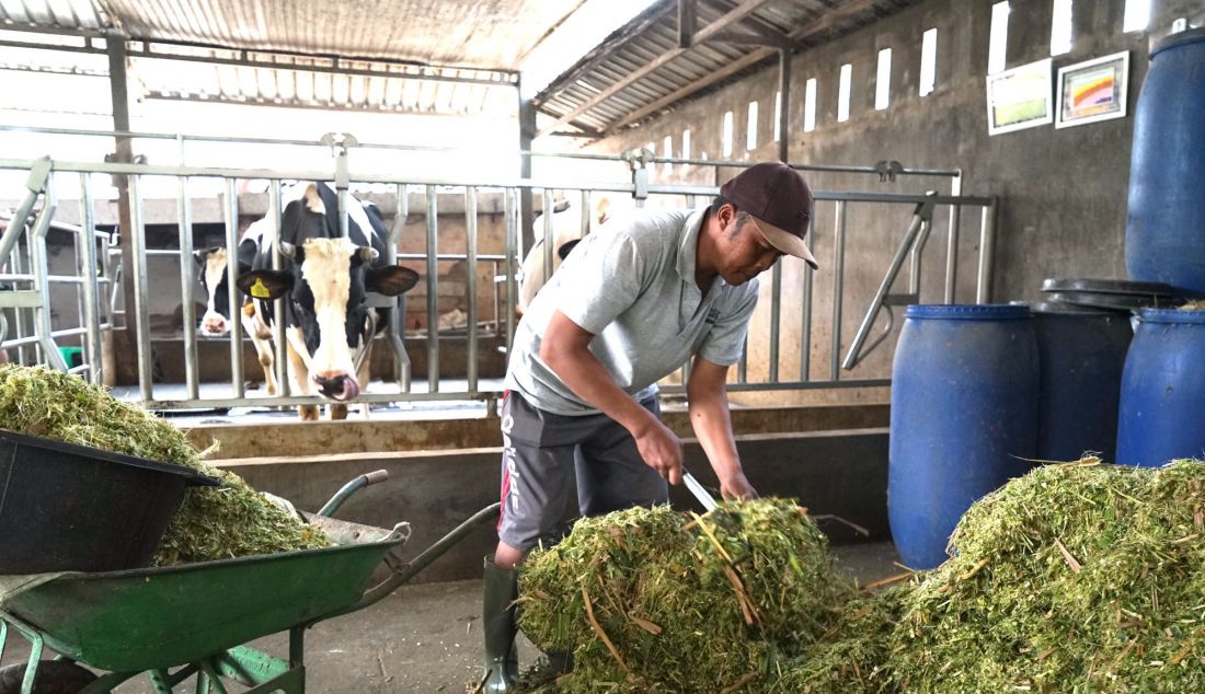 Sejak 1975, Nestle Indonesia telah bermitra dengan lebih dari 14.000 peternak sapi perah rakyat di Jawa Timur untuk membeli bahan baku dan memberikan dukungan pengembangan melalui teknologi, akses, dan edukasi dalam pengelolaan susu segar. Selain itu, Nestle juga aktif berinvestasi secara berkelanjutan untuk memperluas jaringan peternak mitra, memperkuat riset dan pengembangan, serta mendorong penerapan praktik peternakan yang lebih berkelanjutan demi meningkatkan komoditas pangan di Indonesia. - JPNN.com