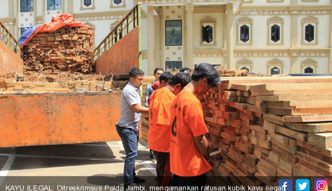 KAYU ILEGAL: Ditreskrimsus Polda Jambi, mengamankan ratusan kubik kayu ilegal bersama para tersangka, Selasa (13/6). - JPNN.com