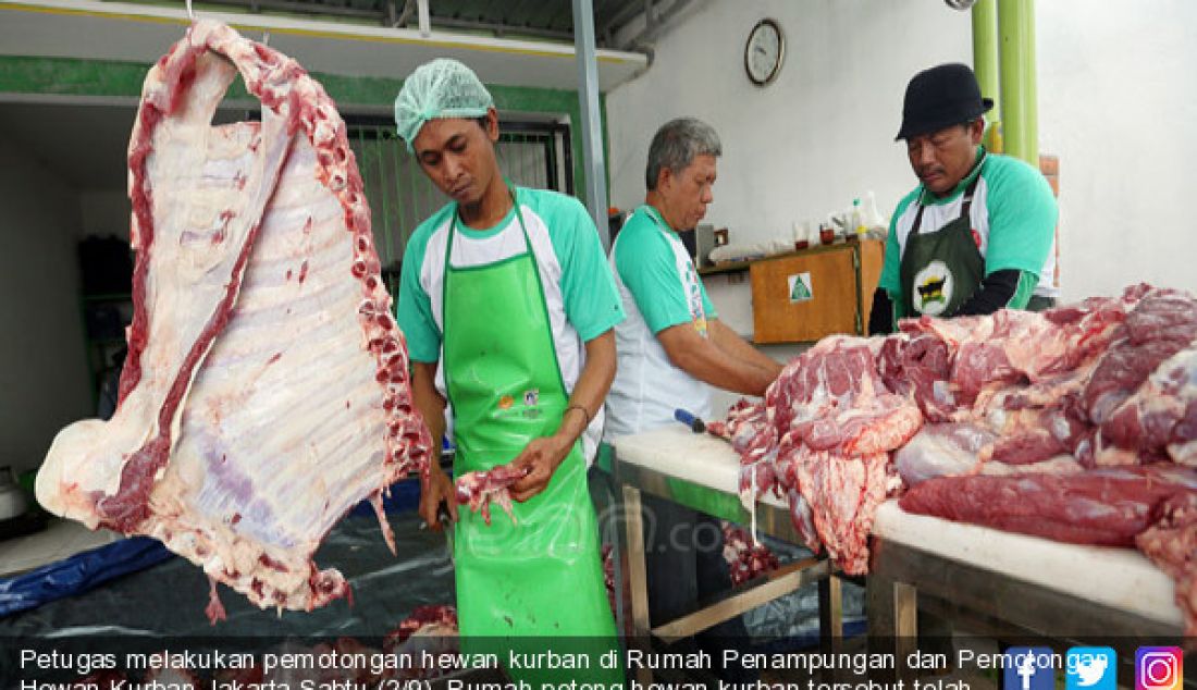 Petugas melakukan pemotongan hewan kurban di Rumah Penampungan dan Pemotongan Hewan Kurban,Jakarta,Sabtu (2/9). Rumah potong hewan kurban tersebut telah dilengkapi dengan peralatan yang modern serta sesuai dengan standarisasi - JPNN.com