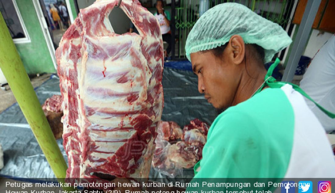 Petugas melakukan pemotongan hewan kurban di Rumah Penampungan dan Pemotongan Hewan Kurban,Jakarta,Sabtu (2/9). Rumah potong hewan kurban tersebut telah dilengkapi dengan peralatan yang modern serta sesuai dengan standarisasi - JPNN.com