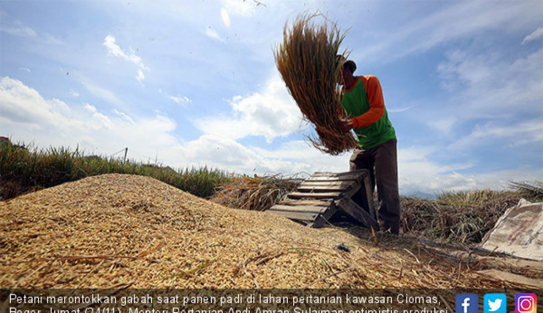Petani merontokkan gabah saat panen padi di lahan pertanian kawasan Ciomas, Bogor, Jumat (24/11). Menteri Pertanian Andi Amran Sulaiman optimistis produksi gabah kering panen (GKP) akan mencapai target 80 juta ton. - JPNN.com