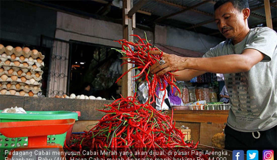 Pedagang Cabai menyusun Cabai Merah yang akan dijual, di pasar Pagi Arengka, Pekanbaru, Rabu (4/4). Harga Cabai merah dipasaran masih berkisar Rp. 44.000 perkilo. - JPNN.com