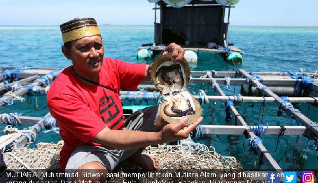 MUTIARA: Muhammad Ridwan saat memperlihatkan Mutiara Alami yang dihasilkan oleh kerang di daerah Desa Mattiro Bone, Pulau BontoSua, Pangkep. Biasamnya Mutiara dipelihara dengan jangka waktu sampai 4 Tahun. - JPNN.com