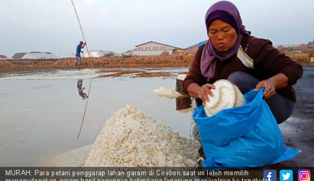 MURAH: Para petani penggarap lahan garam di Cirebon saat ini lebih memilih menggudangkan garam hasil panennya ketimbang langsung menjualnya ke tengkulak, Minggu (22/7). Harga garam lokal saat ini mengalami penurunan. - JPNN.com